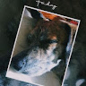 Meet your Posher, Danni